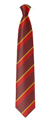 Fibbersley Park School Tie