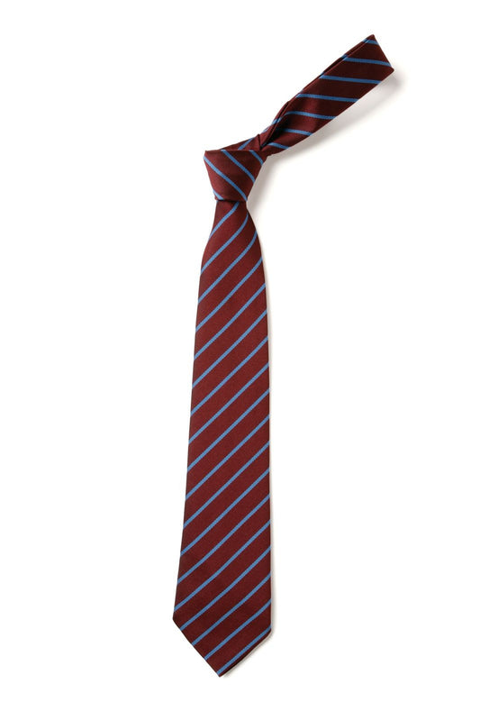 Spring Vale Elasticated Tie